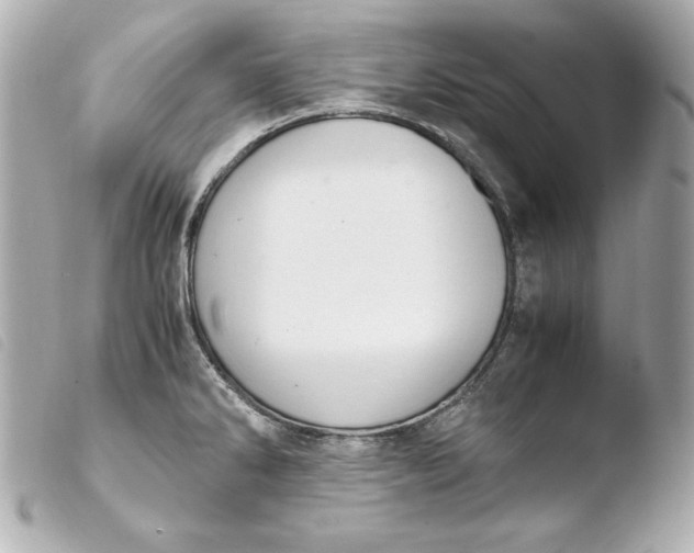 X0000103941286200810031314