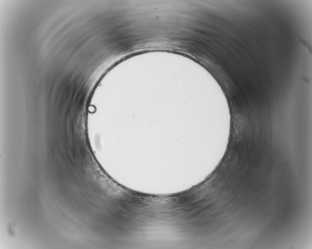 X0000103941288200810031314