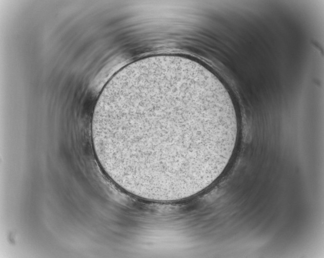 X0000103941289200810031314