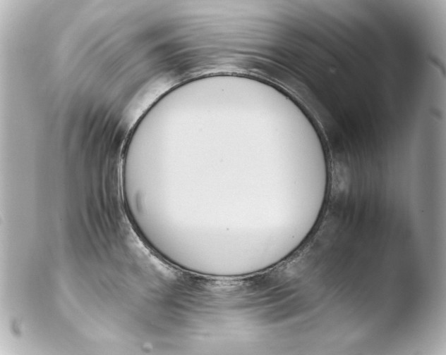 X0000103941290200810031314