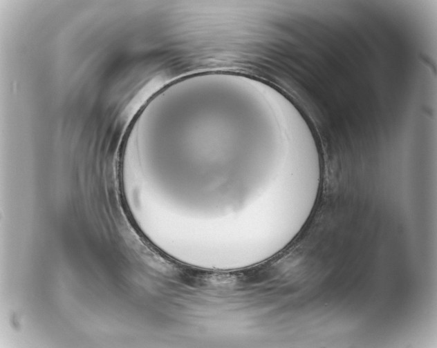 X0000103941291200810031313