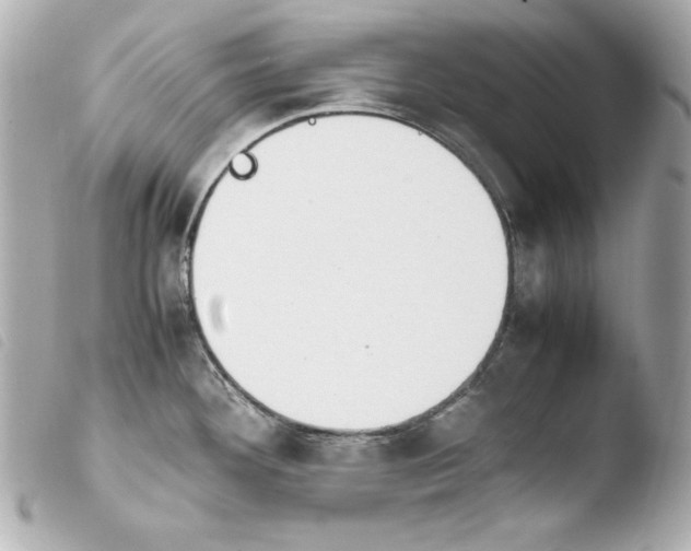 X0000103941292200810031313