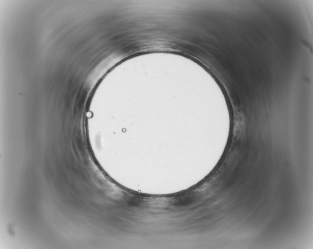 X0000103941293200810031313