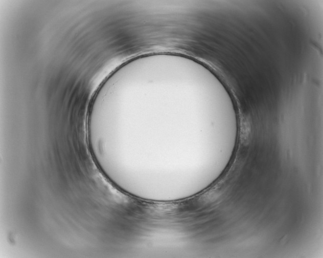 X0000103941294200810031313