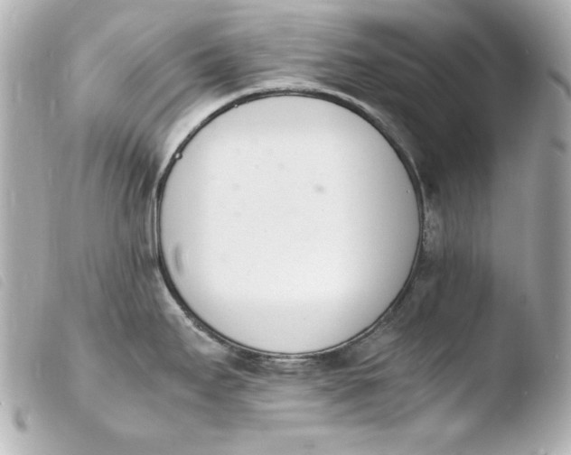 X0000103941295200810031313