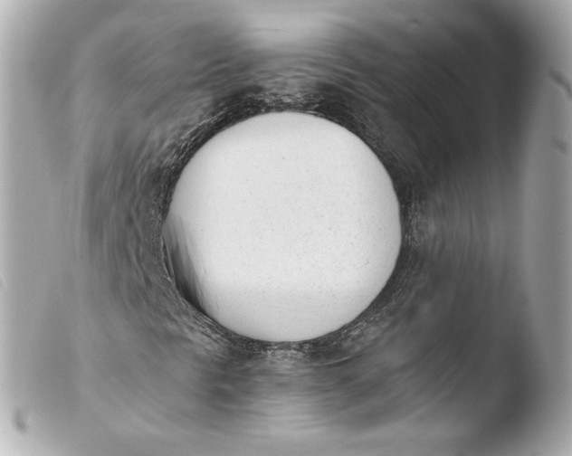 X0000103941297200810031313