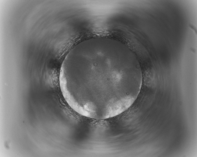 X0000103941298200810031313