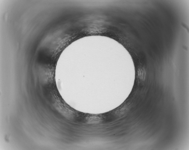 X0000103941300200810031313