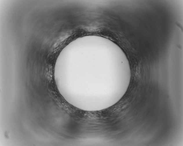 X0000103941301200810031313