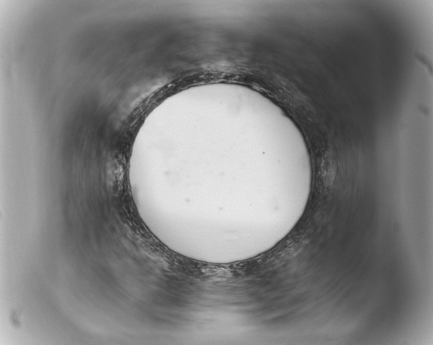 X0000103941302200810031313