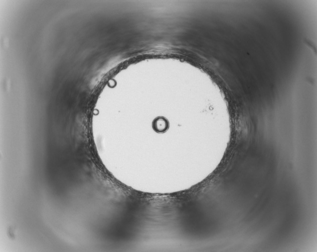 X0000103941304200810031313