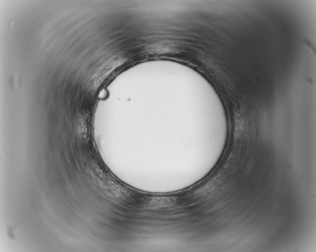 X0000103941305200810031313