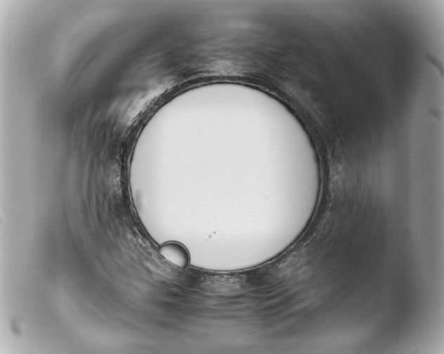 X0000103941307200810031313