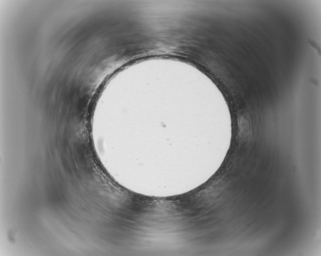 X0000103941308200810031313