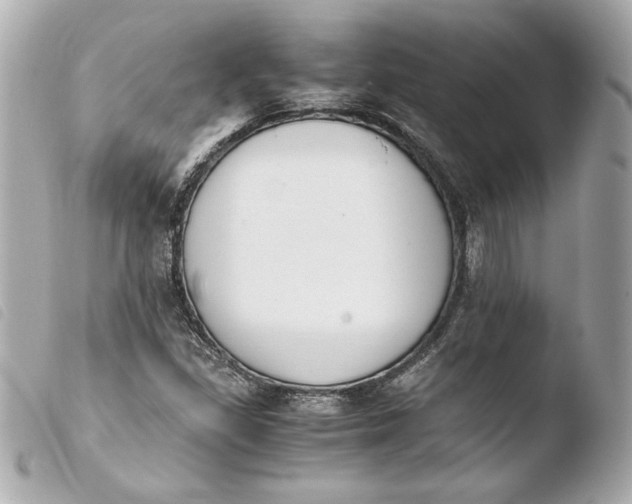 X0000103941309200810031313