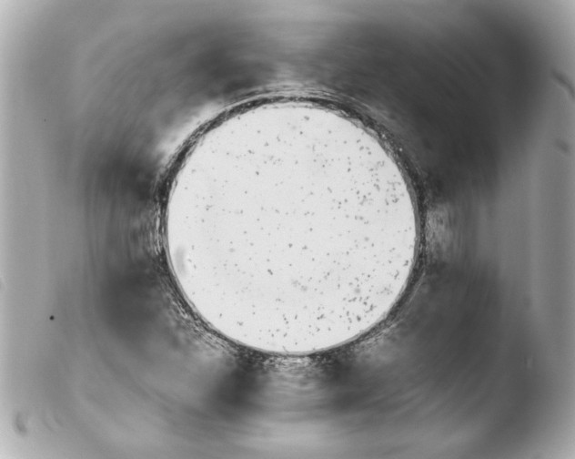 X0000103941310200810031313