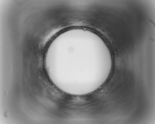 X0000103941311200810031313