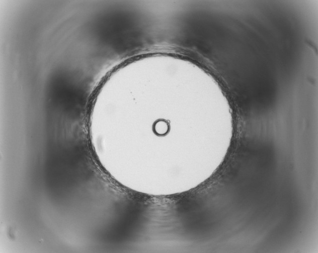 X0000103941312200810031313