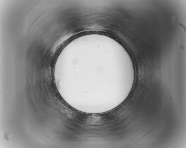 X0000103941315200810031313