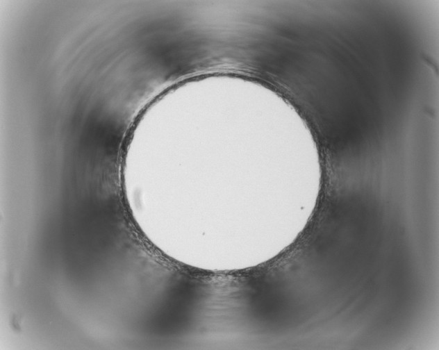 X0000103941316200810031313