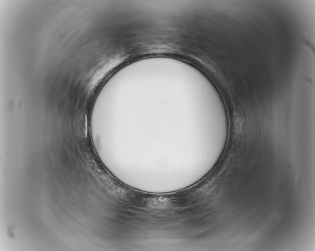 X0000103941317200810031313