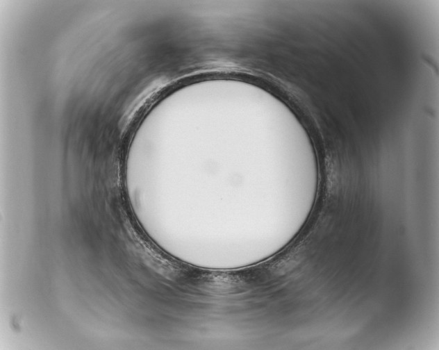 X0000103941318200810031313