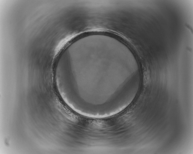 X0000103941319200810031313