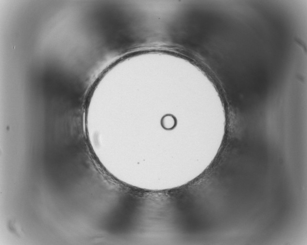 X0000103941320200810031313