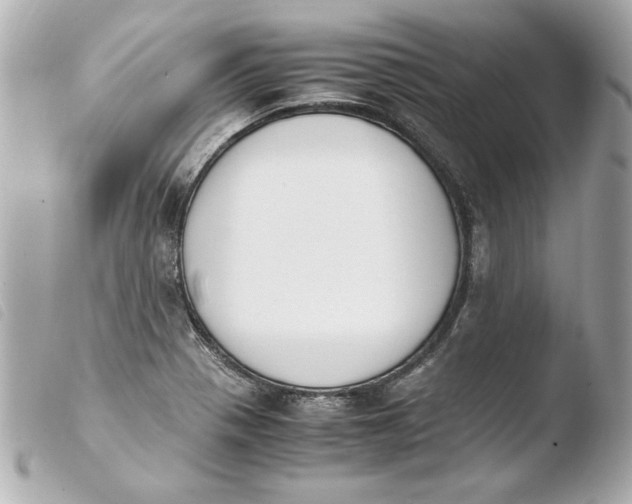 X0000103941321200810031313