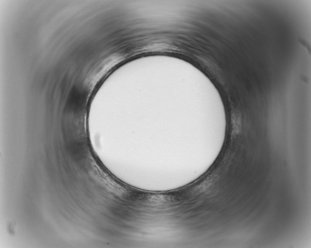 X0000103941322200810031313