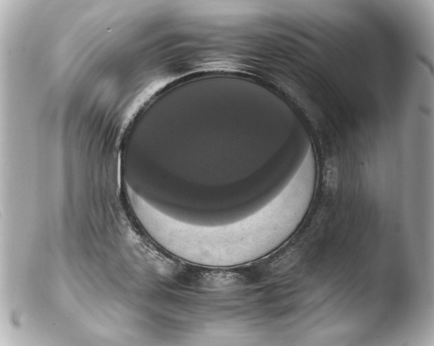 X0000103941323200810031313