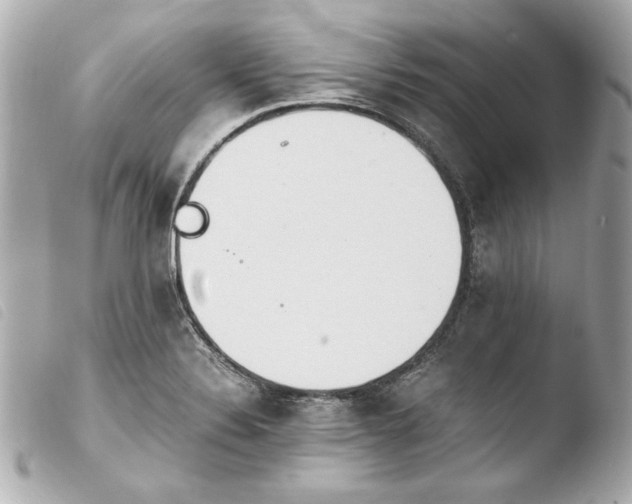 X0000103941324200810031313