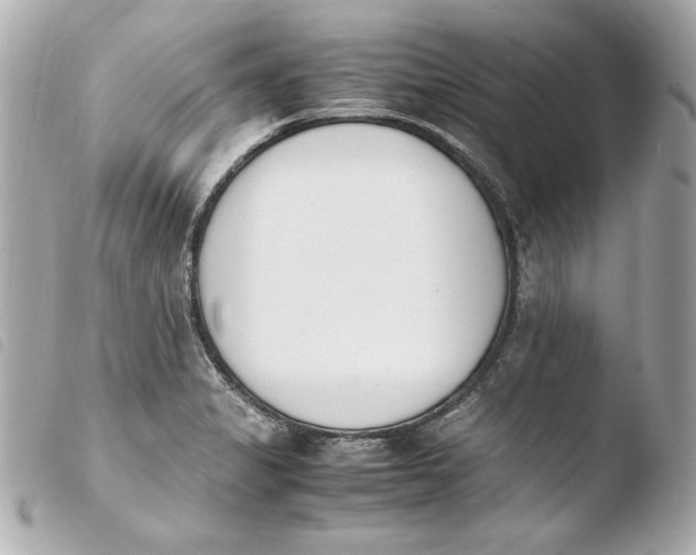 X0000103941325200810031313