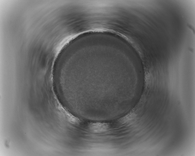 X0000103941327200810031313