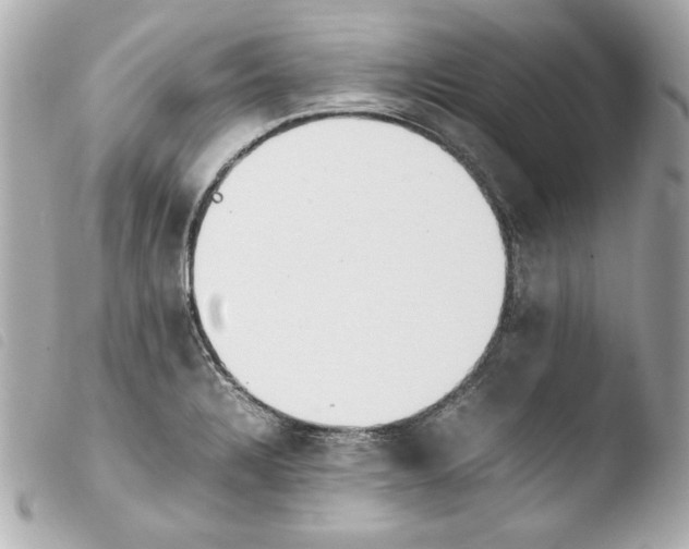 X0000103941328200810031313