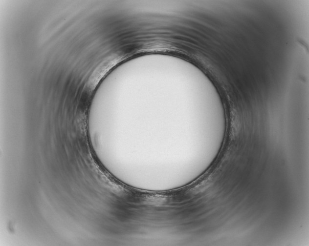 X0000103941329200810031313