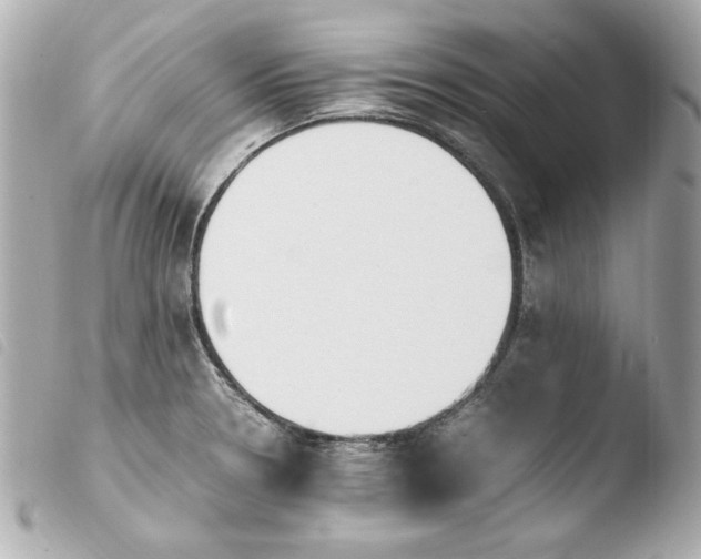 X0000103941330200810031313