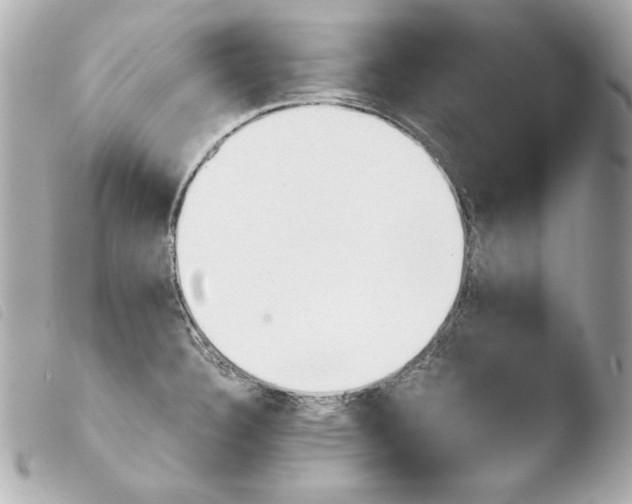 X0000103941332200810031313