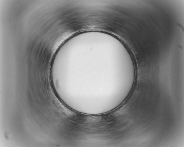 X0000103941333200810031313