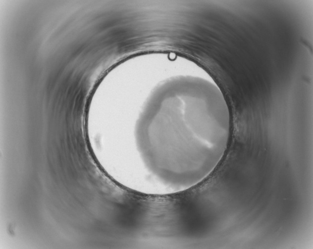 X0000103941334200810031313