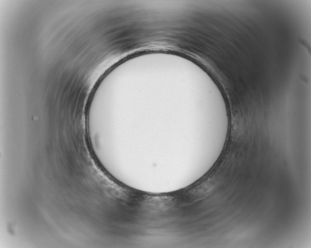 X0000103941335200810031313