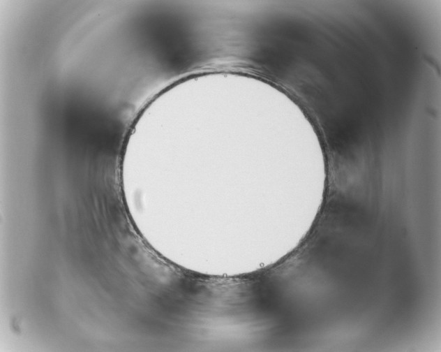 X0000103941336200810031313