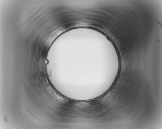 X0000103941337200810031313