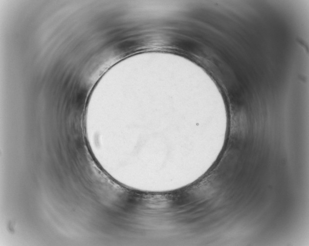 X0000103941338200810031313