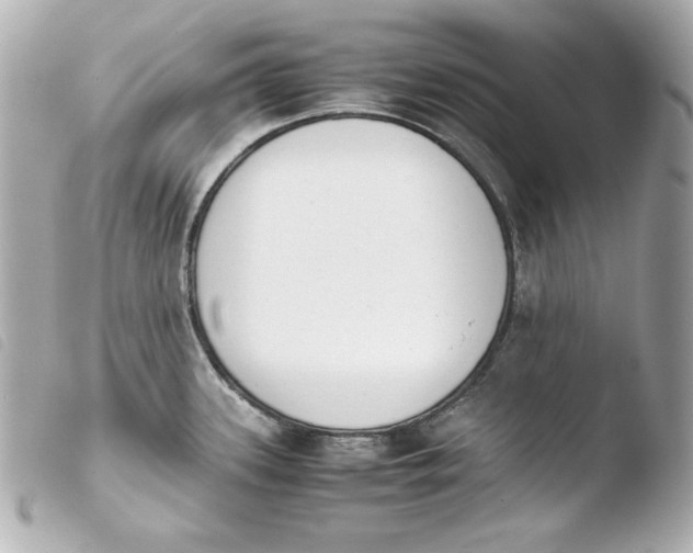 X0000103941339200810031313