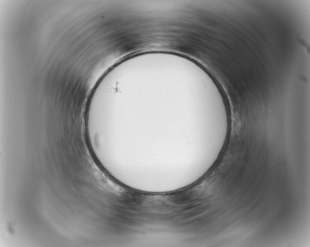 X0000103941341200810031313