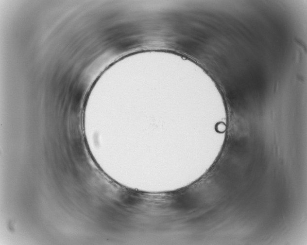 X0000103941342200810031313