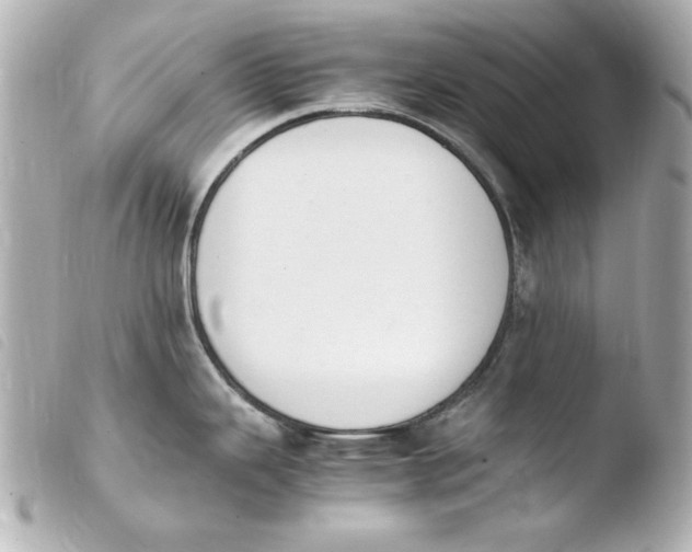 X0000103941343200810031313