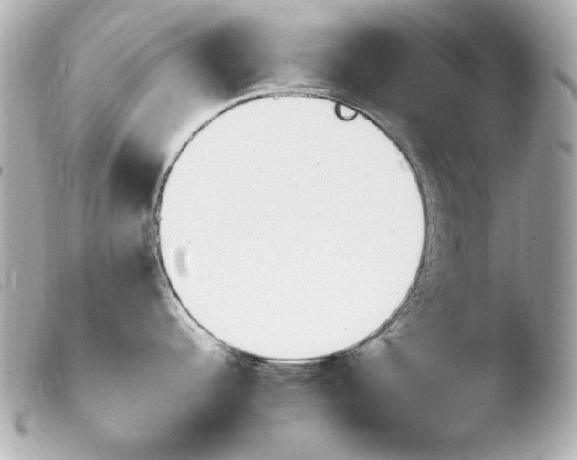 X0000103941344200810031313