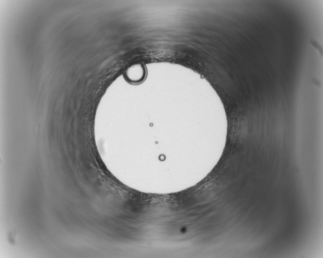 X0000103941345200810031313